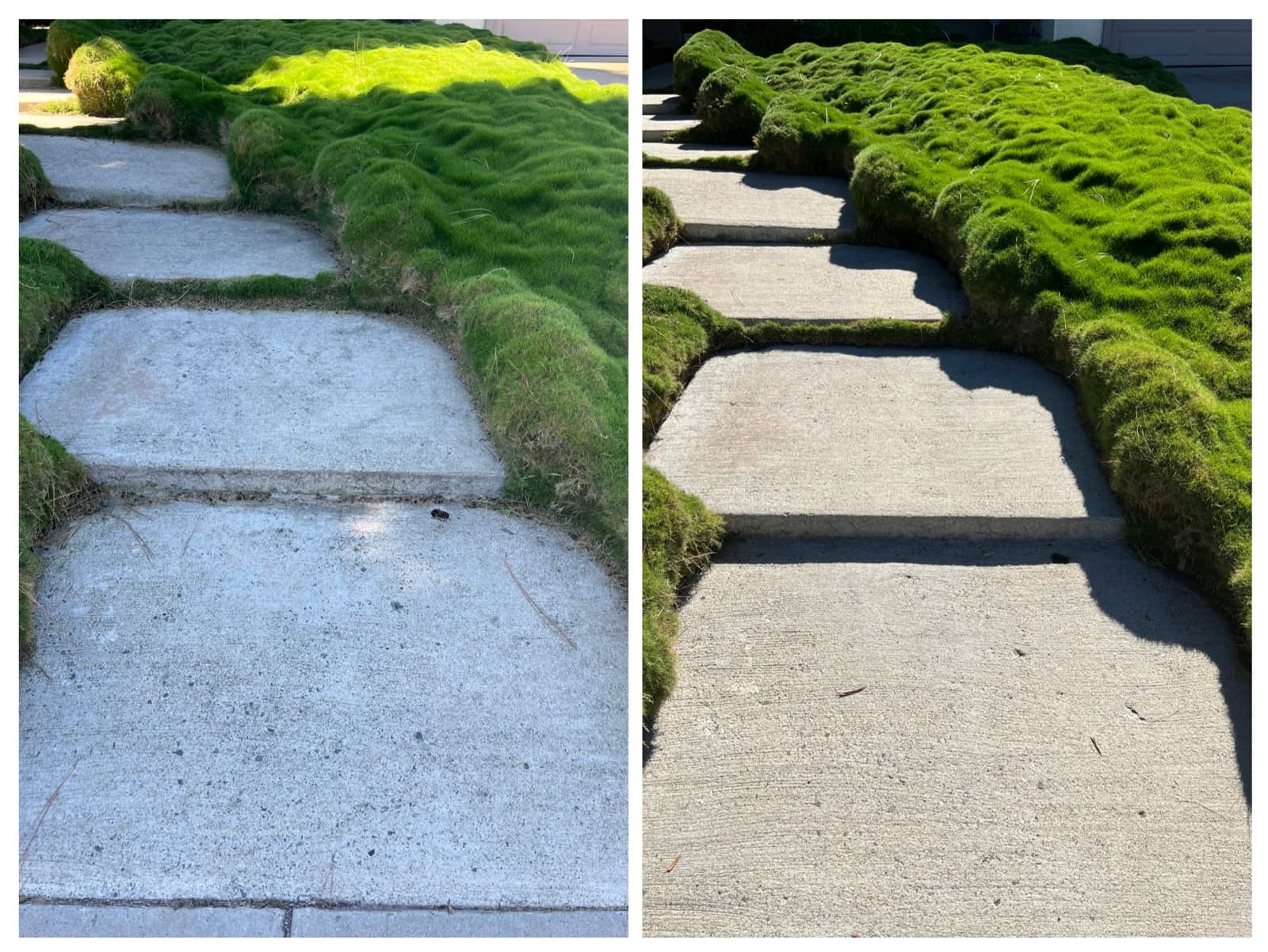 Solar panel roof cleaning — before and after